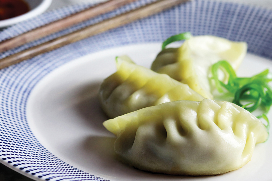Roast Duck Gyoza